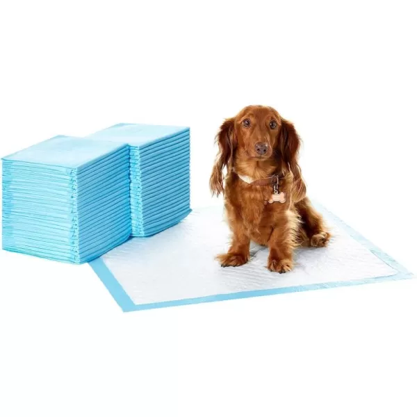 Amazon Basics Dog and Puppy Pee Pads with 5Layer LeakProof Design and QuickDry Surface for Potty Training Regular 22 x 22 Inch Scented  Pack of 100Heavy Duty Regular 50 Count