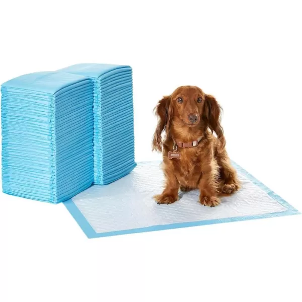 Amazon Basics Dog and Puppy Pee Pads with 5Layer LeakProof Design and QuickDry Surface for Potty Training Regular 22 x 22 Inch Scented  Pack of 100Heavy Duty Regular 80 Count
