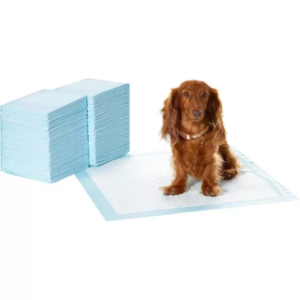 Amazon Basics Dog and Puppy Pee Pads with 5Layer LeakProof Design and QuickDry Surface for Potty Training Regular 22 x 22 Inch Scented  Pack of 100Scented Regular 100 Count