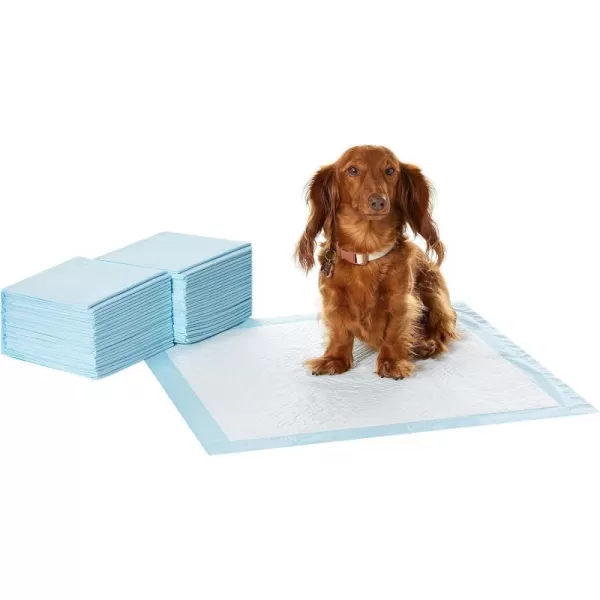 Amazon Basics Dog and Puppy Pee Pads with 5Layer LeakProof Design and QuickDry Surface for Potty Training Regular 22 x 22 Inch Scented  Pack of 100Scented Regular 50 Count