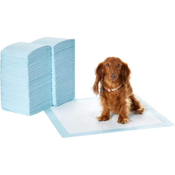 Amazon Basics Dog and Puppy Pee Pads with 5Layer LeakProof Design and QuickDry Surface for Potty Training Regular 22 x 22 Inch Scented  Pack of 100Unscented Regular 150 Count