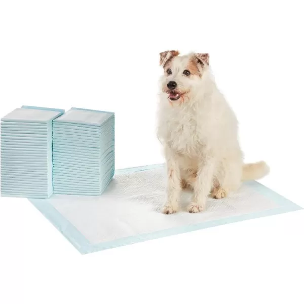 Amazon Basics Dog and Puppy Pee Pads with 5Layer LeakProof Design and QuickDry Surface for Potty Training Regular 22 x 22 Inch Scented  Pack of 100Unscented XLarge 60 Count