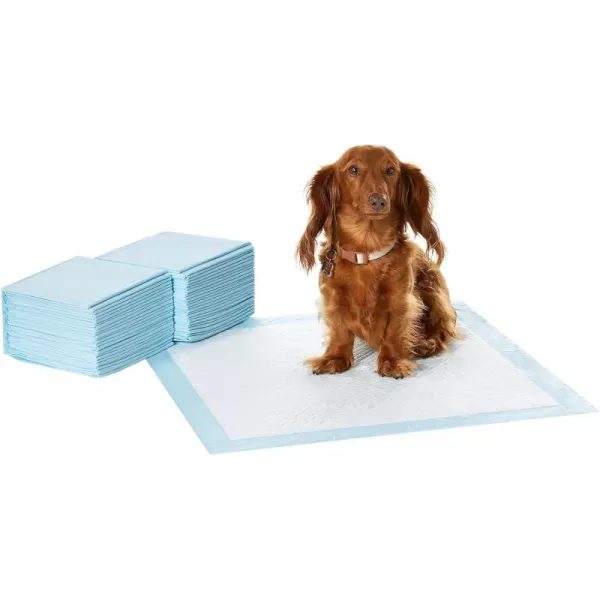 Amazon Basics Dog and Puppy Pee Pads with 5Layer LeakProof Design and QuickDry Surface for Potty Training Regular 22 x 22 Inch Scented  Pack of 100Unscented Regular 50 Count