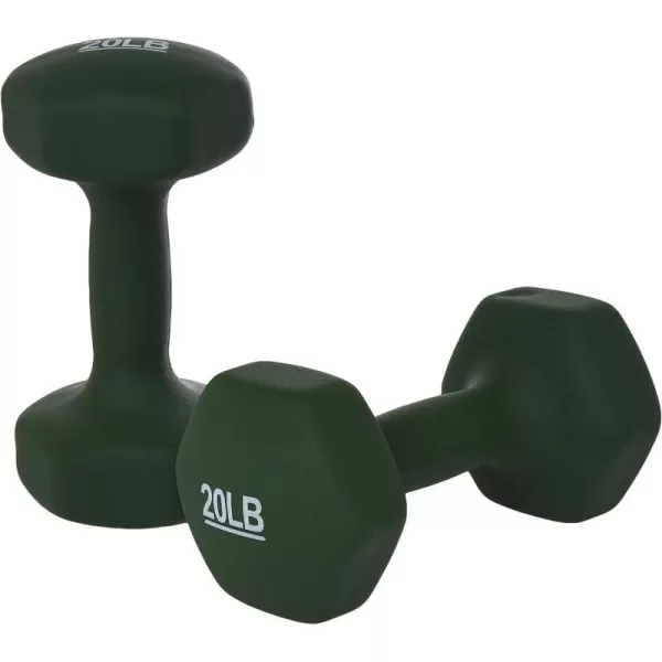 Amazon Basics Easy Grip Workout Dumbbell Neoprene Coated Various Sets and Weights available20Pound Pair