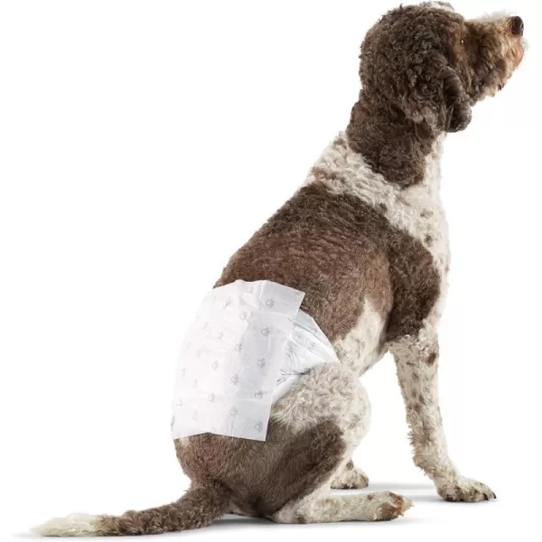 Large (Pack of 30)