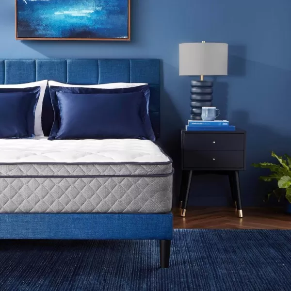 Amazon Basics Memory Foam Eurotop Mattress Medium Firm CertiPURUS Certified 9 Inches TwinQueen 11Inch