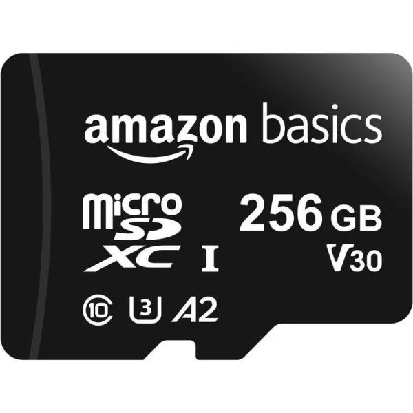 256GB