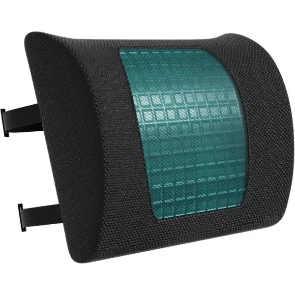 Amazon Basics Seat Cushion amp Lumbar Support Memory Foam Black 2PackBack Support Cushion Gel Memory Foam