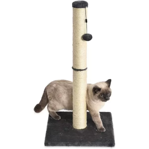 Amazon Basics Tall Cat Scratching Post with Jute Fiber and Brown Carpet Large 1575 L x 1575 W x 3543 HGrey Scratching Post