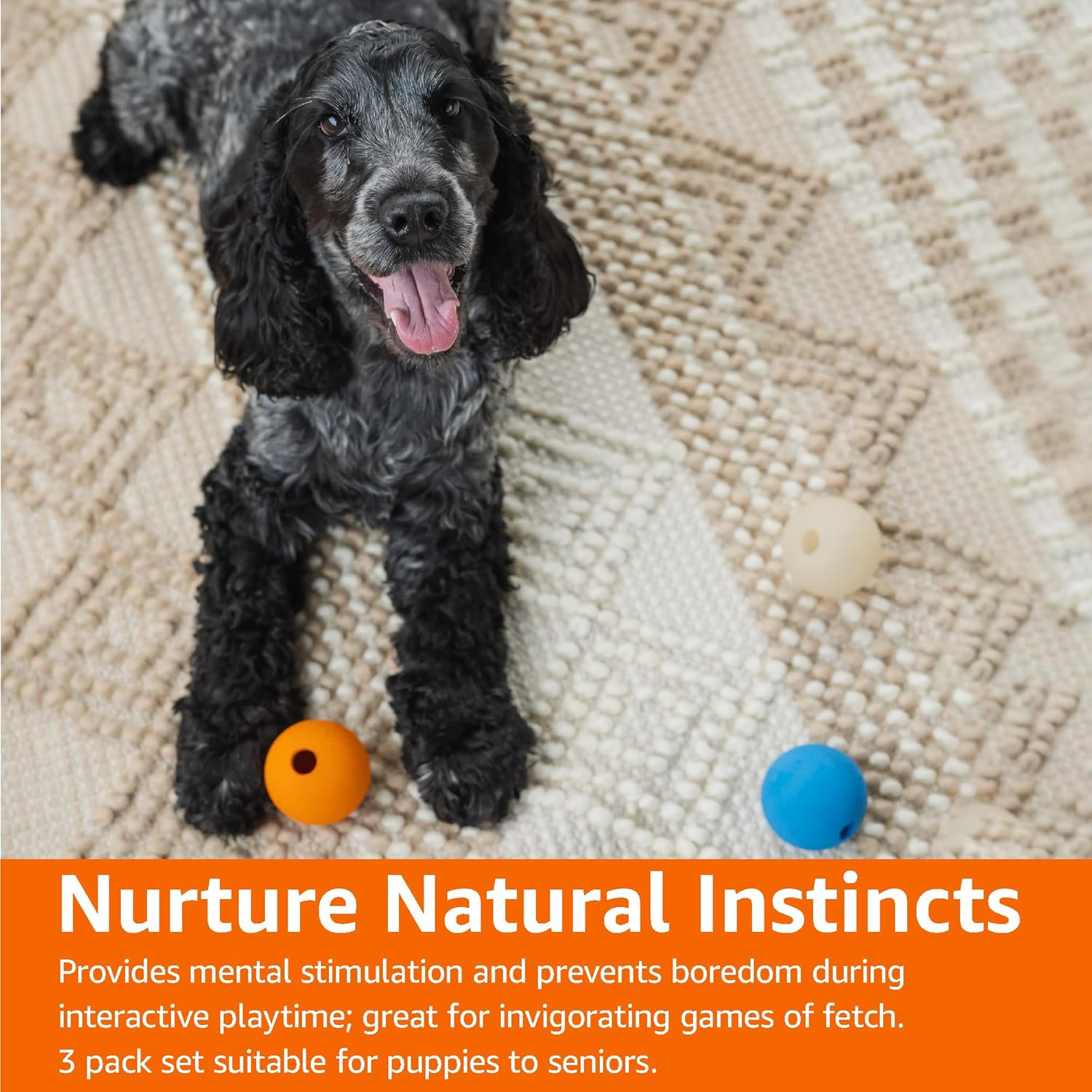imageAmazon Basics Dog Toys Interactive Assorted Rubber Balls Pack of 3 25 inch MultiColor BlueOrangeAssorted Balls Pack of 3