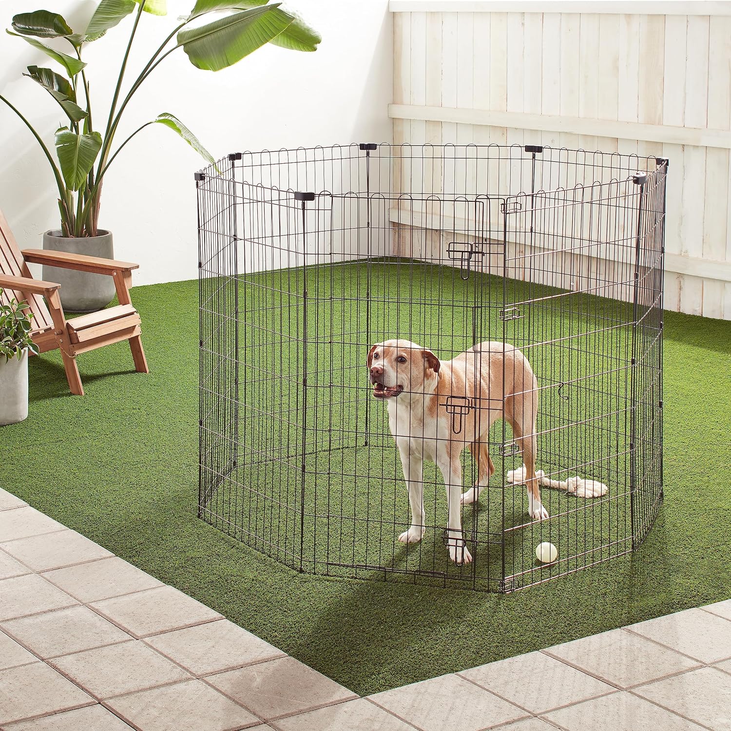 imageAmazon Basics Foldable Octagonal Metal Exercise Pet Playpen for Dogs Portable Fence Pen Single Door 60 x 60 x 36 Inches Medium  36quotH Metal BlackWith door