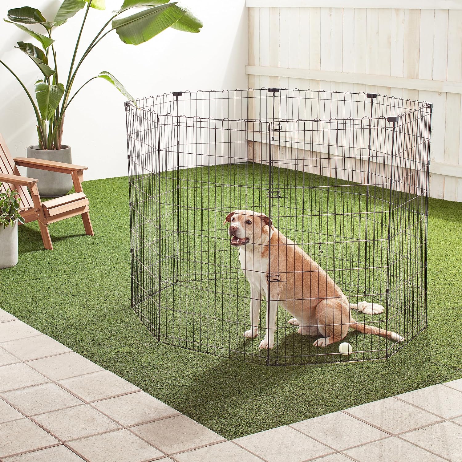 imageAmazon Basics Foldable Octagonal Metal Exercise Pet Playpen for Dogs Portable Fence Pen Single Door 60 x 60 x 36 Inches Medium  36quotH Metal BlackWithout door
