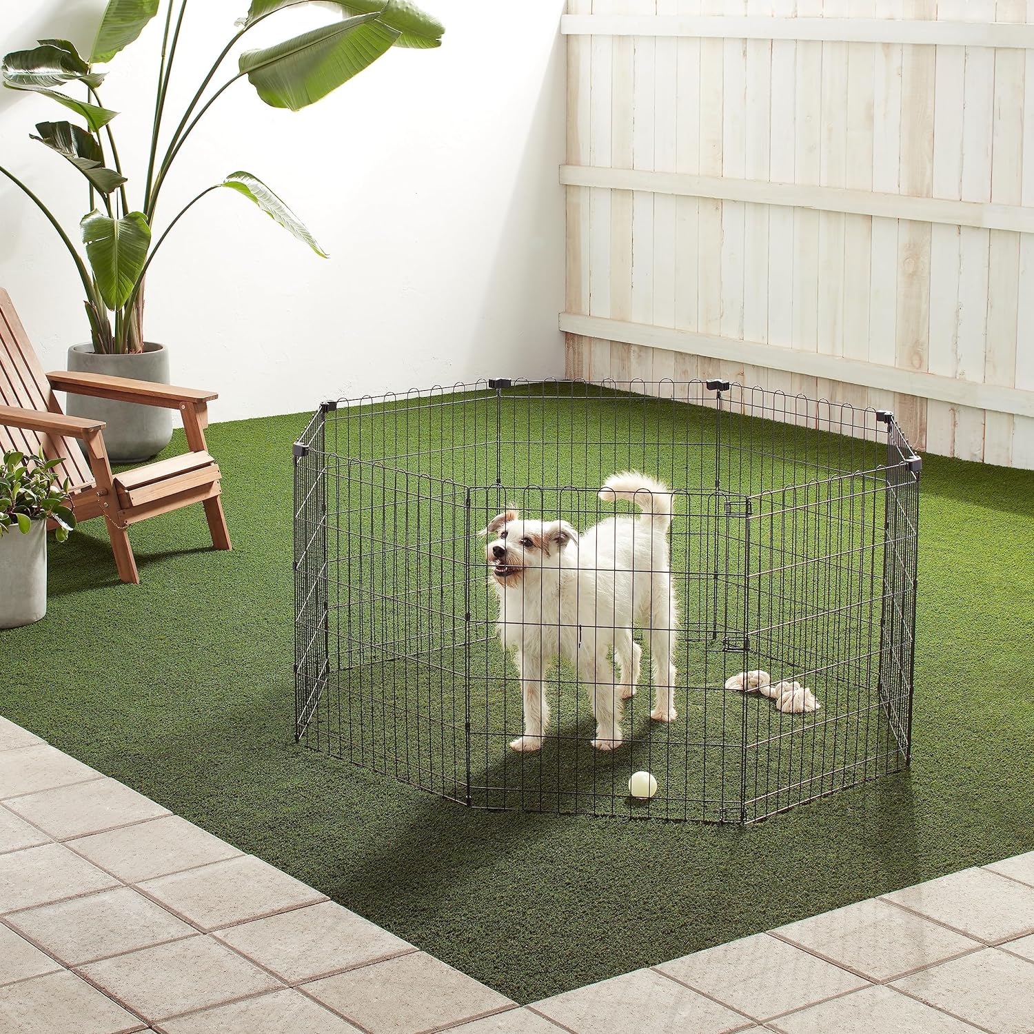 imageAmazon Basics Foldable Octagonal Metal Exercise Pet Playpen for Dogs Portable Fence Pen Single Door 60 x 60 x 36 Inches Medium  36quotH Metal BlackWithout door