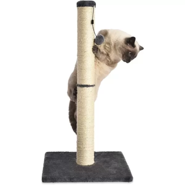 imageAmazon Basics  Indoor Tall Cat ampamp Kittens Scratching Post Scratcher with Sisal Rope Jute Fiber Brown Carpet Large 1575quot L x 157quot W x 3543quot HGrey