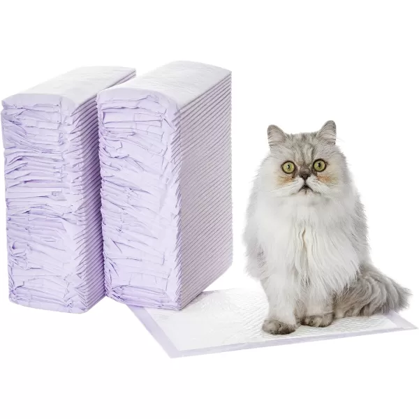 imageAmazon Basics Cat Pad Refills for Litter Box Fresh Scent Pack of 40 Purple and WhiteFresh