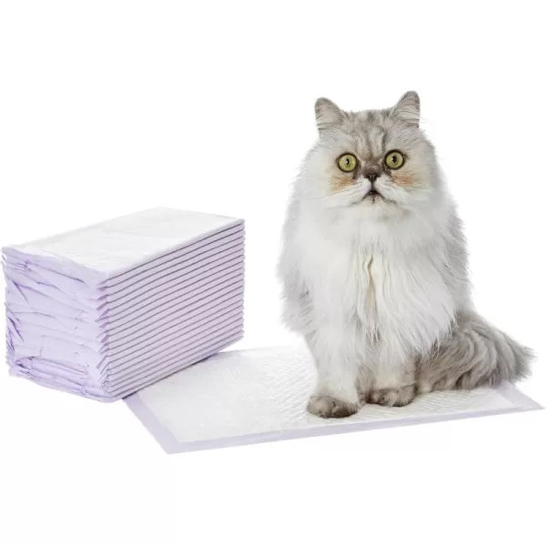 imageAmazon Basics Cat Pad Refills for Litter Box Fresh Scent Pack of 40 Purple and WhiteUnscented