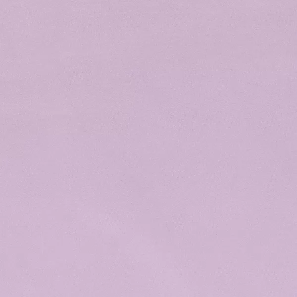 imageAmazon Basics 3 Count Lightweight Super Soft Easy Care Microfiber Bed Sheet Set with 14quot Deep Pockets  Twin Pack of 4 Black SolidFrosted Lavender