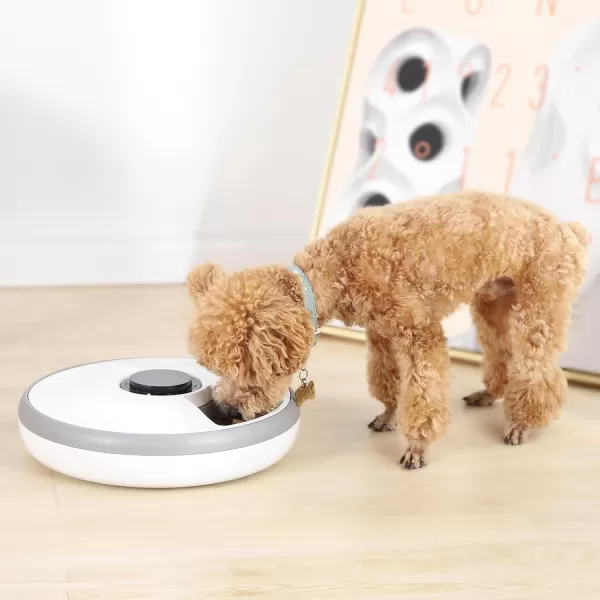 imageAmazon Basics Automatic Pet Feeder with Cooling Pack 315 x 315 x 83cm White