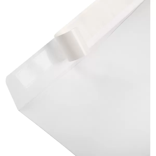 imageAmazon Basics Catalog Mailing Envelopes Peel and Seal 10x13 Inch White 100Pack100Pack