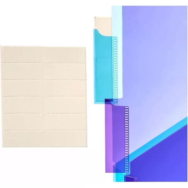 imageAmazon Basics Two Pocket Plastic Dividers Tab Set 5 Count Letter Size Assorted Color 1Pack3 Count