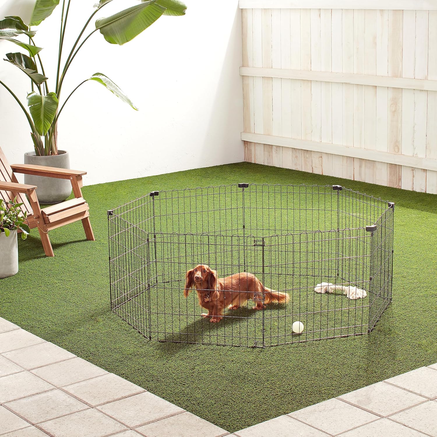 imageAmazon Basics Foldable Metal Exercise Playpen for Dogs IndoorOutdoor Portable Pet Pen Octagonal Single Door Extra Small 60 x 60 x 24 Inches Blackblack