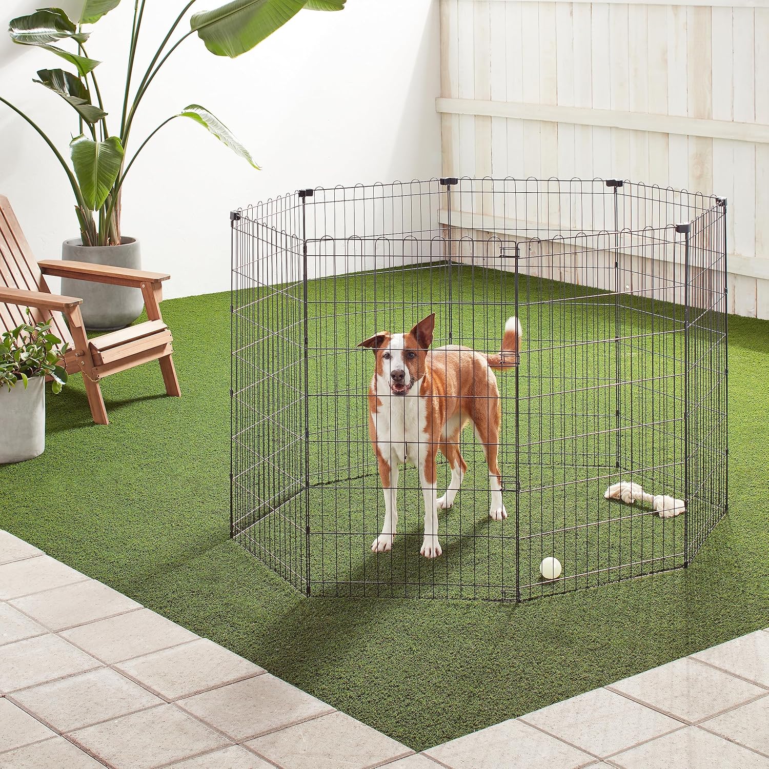 imageAmazon Basics Foldable Metal Exercise Playpen for Dogs IndoorOutdoor Portable Pet Pen Octagonal Single Door Extra Small 60 x 60 x 24 Inches Blackblack