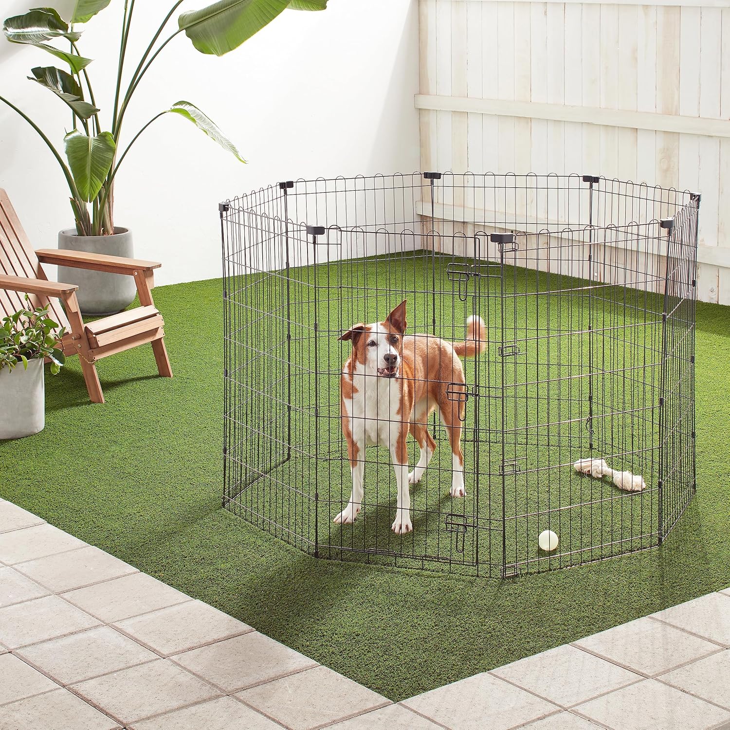 imageAmazon Basics Foldable Metal Exercise Playpen for Dogs IndoorOutdoor Portable Pet Pen Octagonal Single Door Extra Small 60 x 60 x 24 Inches Blackblack