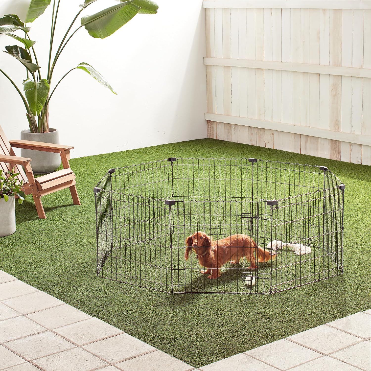imageAmazon Basics Foldable Metal Exercise Playpen for Dogs IndoorOutdoor Portable Pet Pen Octagonal Single Door Extra Small 60 x 60 x 24 Inches Blackblack