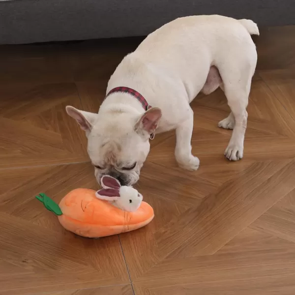 imageAmazon Basics Hide and Seek Squeaky Dog Plush Toy Rabbit and Carrot Orange and White 5 Pack