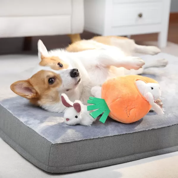 imageAmazon Basics Hide and Seek Squeaky Dog Plush Toy Rabbit and Carrot Orange and White 5 Pack