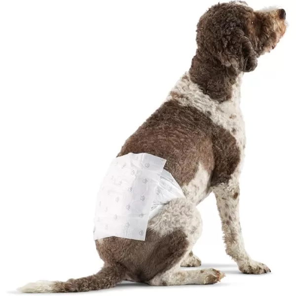 imageAmazon Basics Male Dog Wrap Disposable Male Dog Diapers Small Pack of 30 WhiteLarge Pack of 30