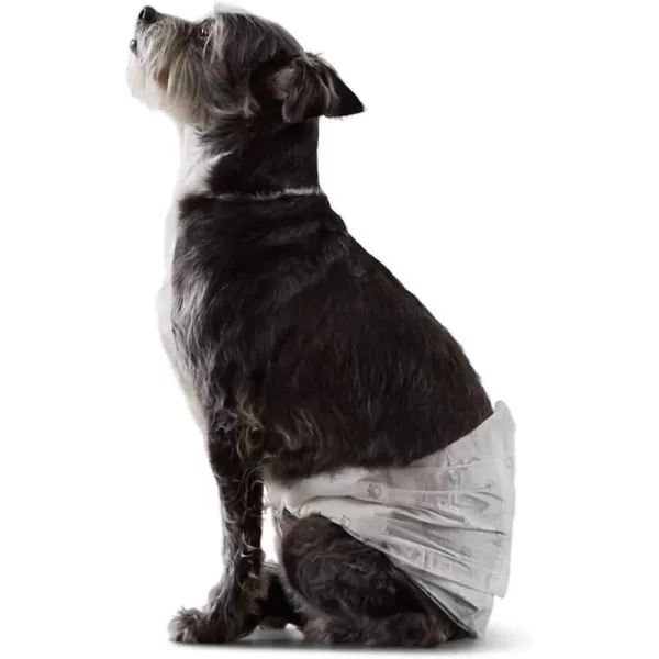 Small (Pack of 30)