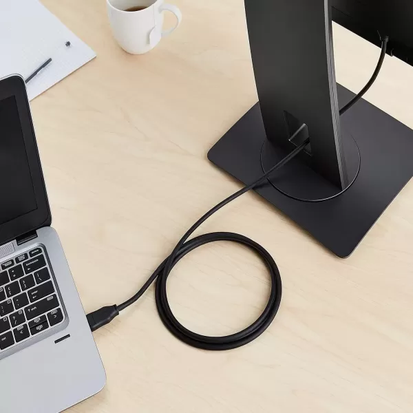 imageAmazon Basics DisplayPort to DisplayPort HD Display Cable  6 Feet 52 Count Black10Pack