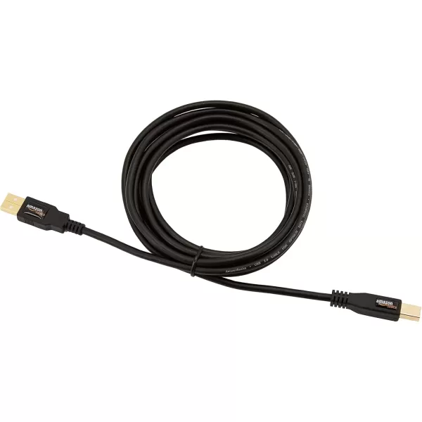 imageAmazon Basics USBA to USBB 20 Cable with 480 Mbps Transfer Speed for Printer or External Hard Drive GoldPlated Connectors 6 Foot Black10 Feet