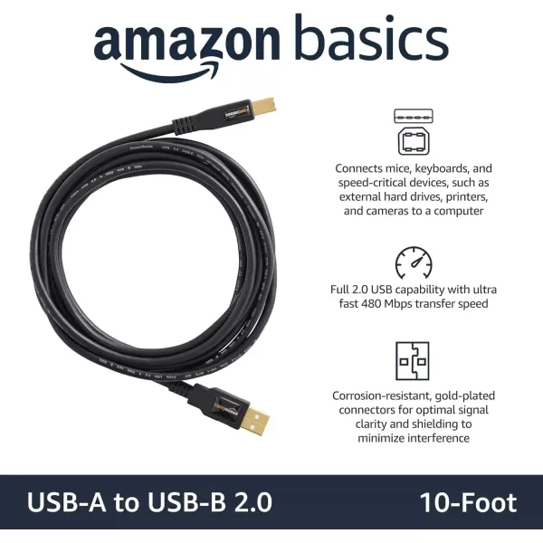 imageAmazon Basics USBA to USBB 20 Cable with 480 Mbps Transfer Speed for Printer or External Hard Drive GoldPlated Connectors 6 Foot Black10 Feet