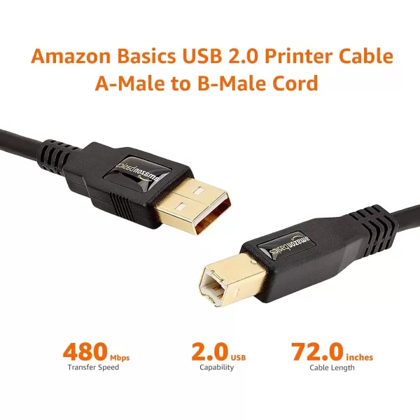 imageAmazon Basics USBA to USBB 20 Cable with 480 Mbps Transfer Speed for Printer or External Hard Drive GoldPlated Connectors 6 Foot Black6 Feet