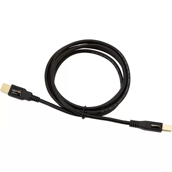 imageAmazon Basics USBA to USBB 20 Cable with 480 Mbps Transfer Speed for Printer or External Hard Drive GoldPlated Connectors 6 Foot Black6 Feet