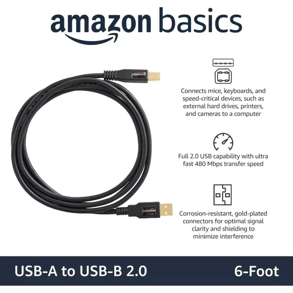 imageAmazon Basics USBA to USBB 20 Cable with 480 Mbps Transfer Speed for Printer or External Hard Drive GoldPlated Connectors 6 Foot Black6 Feet