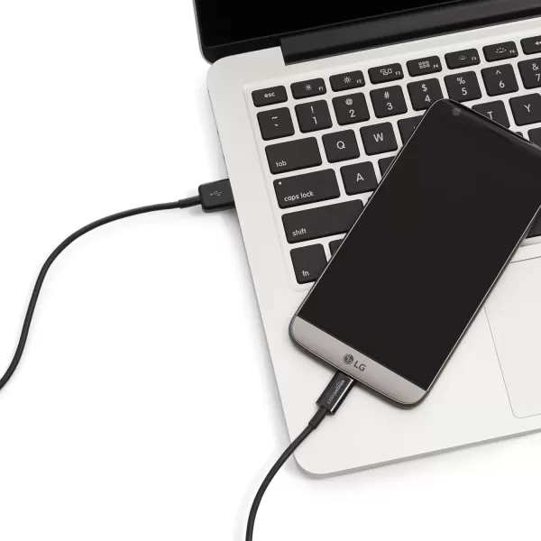 imageAmazon Basics USBC to USBA 20 Fast Charger Cable 480Mbps Speed USBIF Certified for Apple iPhone 1615 iPad Samsung Galaxy Tablets Laptops 3 Foot BlackBlack