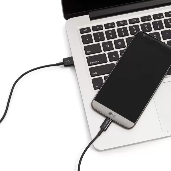imageAmazon Basics USBC to USBA 20 Fast Charger Cable 480Mbps Speed USBIF Certified for Apple iPhone 1615 iPad Samsung Galaxy Tablets Laptops 3 Foot BlackBlack