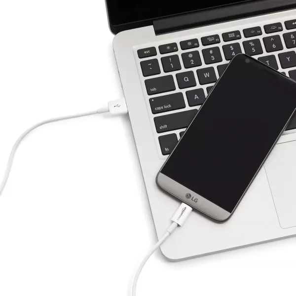 imageAmazon Basics USBC to USBA 20 Fast Charger Cable 480Mbps Speed USBIF Certified for Apple iPhone 1615 iPad Samsung Galaxy Tablets Laptops 3 Foot BlackWhite