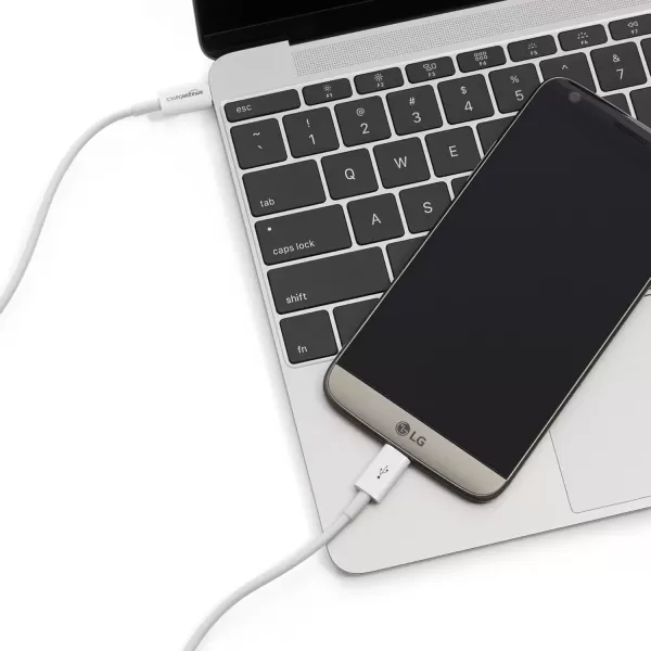imageAmazon Basics USBC to USBC Fast Charger Cable 480Mbps Speed USBIF Certified for Fast Charging Apple iPhone 1615 iPad MacBook Samsung Galaxy Tablets Laptops 6 Foot WhiteWhite