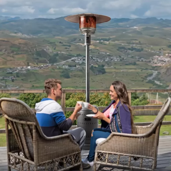 imageAmazon Basics 46000 BTU Outdoor Propane Patio Heater with Wheels Commercial ampamp Residential Havana Bronze 321 x 321 x 913 inches LxWxHSlate Gray