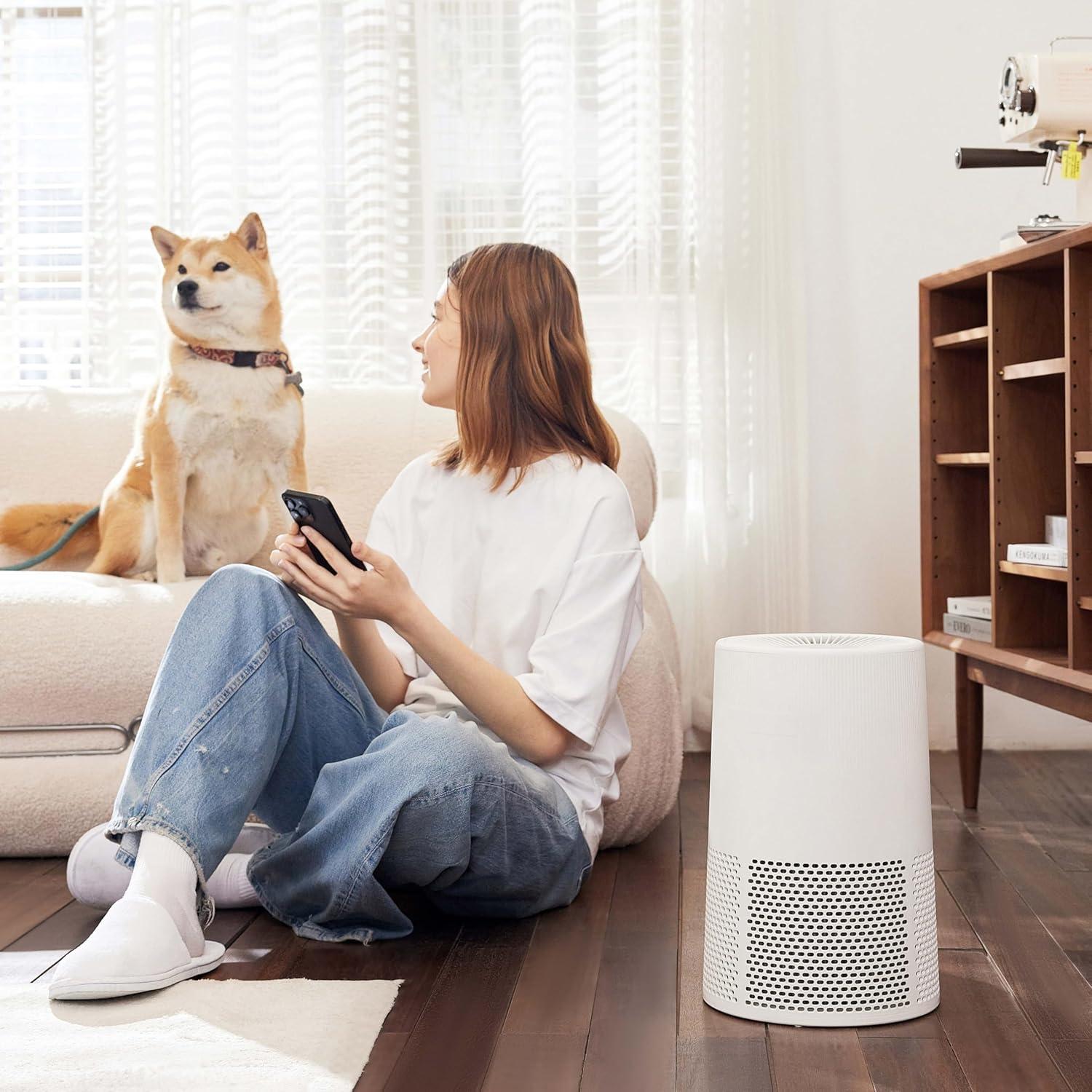 imageAmazon Basics Air Purifier for Home and Office With 3Stage Filtration HEPA Filter With Activated Carbon 3 Speeds Timer Sleep Mode 32db Energy Star Certificate Covers Up to 1067 Sq ft WhiteAir Purifier