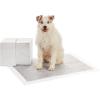 imageAmazon Basics Dog and Puppy Pee Pads with 5Layer LeakProof Design and QuickDry Surface for Potty Training OdorControl Carbon XL 28 x 34 Inch  Pack of 50 GrayXLarge 50 Count