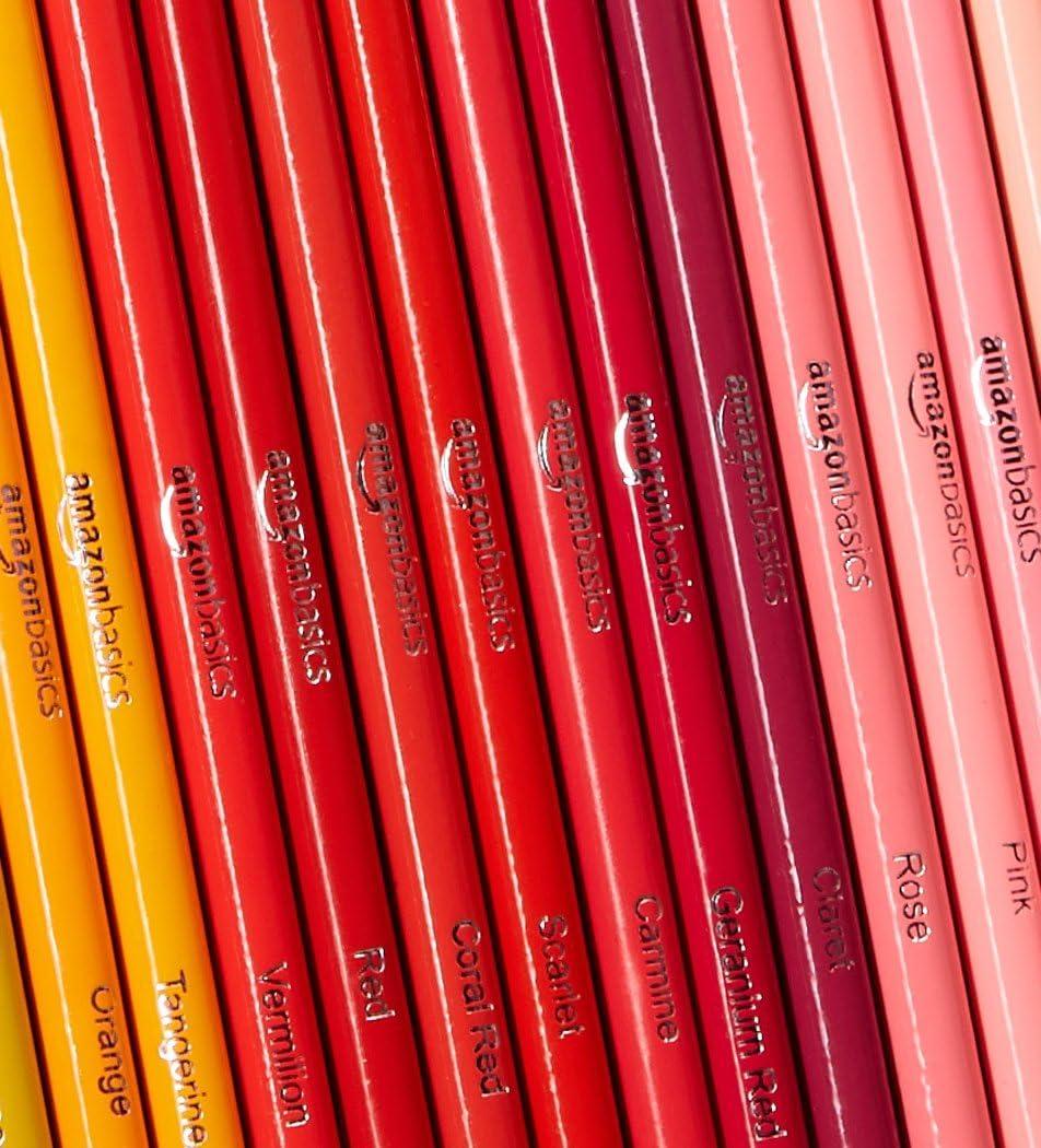 imageAmazon Basics Premium Colored Pencils 24 Count Soft Core Multicolor Back to School Supplies Pack of 172 Count Pack of 1