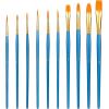 imageAmazon Basics PBT Paint Brushes for Acrylic Oil Watercolor 10 Different Sizes Brush Set BlueBlue