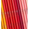 imageAmazon Basics Premium Colored Pencils 24 Count Soft Core Multicolor Back to School Supplies Pack of 172 Count Pack of 1