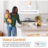imageAmazon Basics Smart A19 LED Light Bulb Color Changing 60W Equivalent 800LM Works with Alexa Only 24 GHz WiFi No Hub Required 1PackColor Changing
