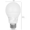 imageAmazon Basics Smart A19 LED Light Bulb Color Changing 60W Equivalent 800LM Works with Alexa Only 24 GHz WiFi No Hub Required 1PackColor Changing 75w